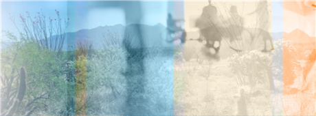 Banner Picture